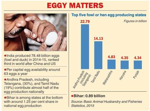 Eggs in India